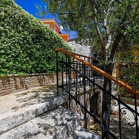 Georgeous And Warm Living Downtown Πανσιόν